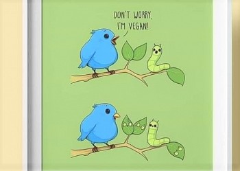 Le piante soffrono...