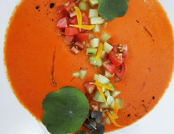 Gazpacho