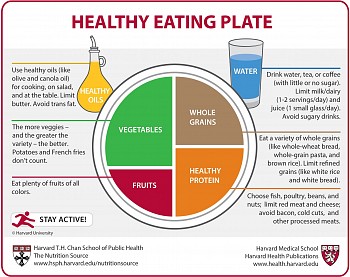 The healthy Plate