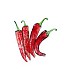 Foto Chili pepper
